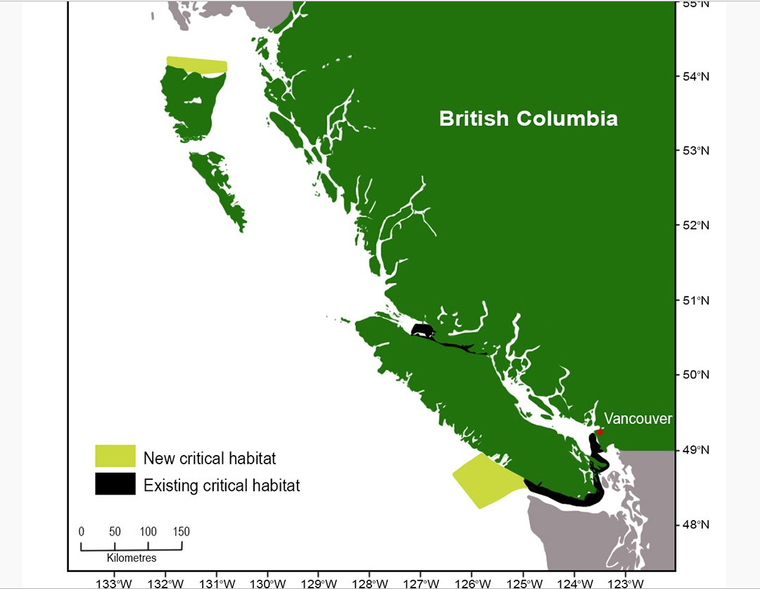 Critical Habitat Expanded - My Coast Now