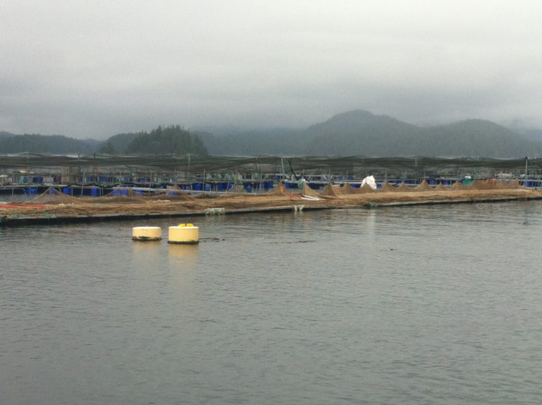 DFO working with First Nations to address fish farm concerns on the Discovery Islands